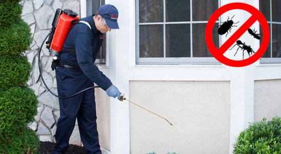 Gümüldür Gümüşkurt İlaçlama böcek ilaçlama ve haşere kontrolü — ilaclama-tr.com